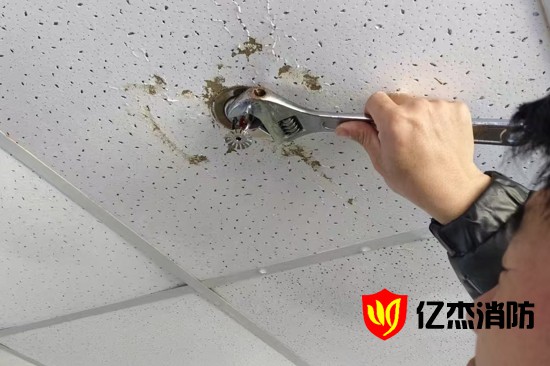 ���Q���������^