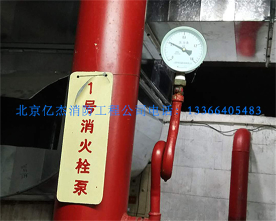 �����|�������S��13366405483