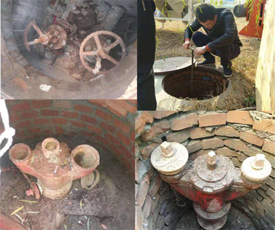 ��������˨ϵ�y�S��